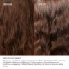Olaplex Nº.3 Hair Perfector® - Greg Hair and Nails