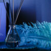 Stars Home Sticks 100ml - Image 4